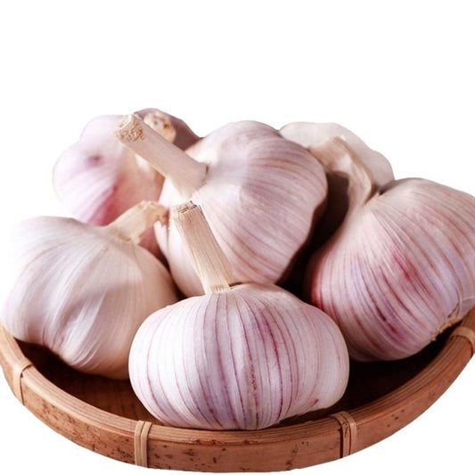 Chinese Garlic