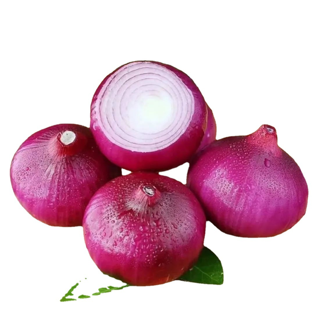 Chinese Onion